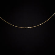 10K Gold Box Chain Necklace